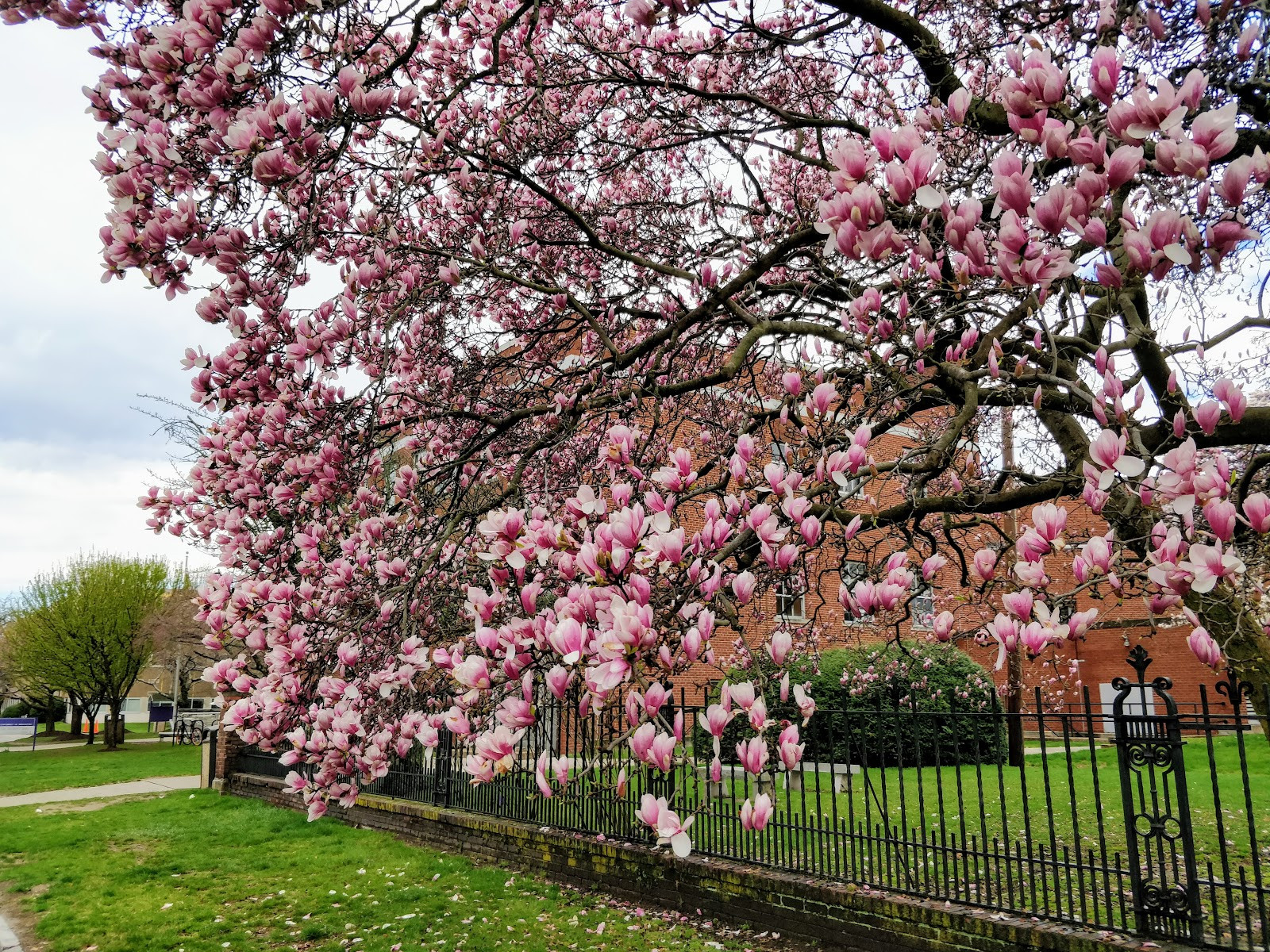 University of Bridgeport - Building