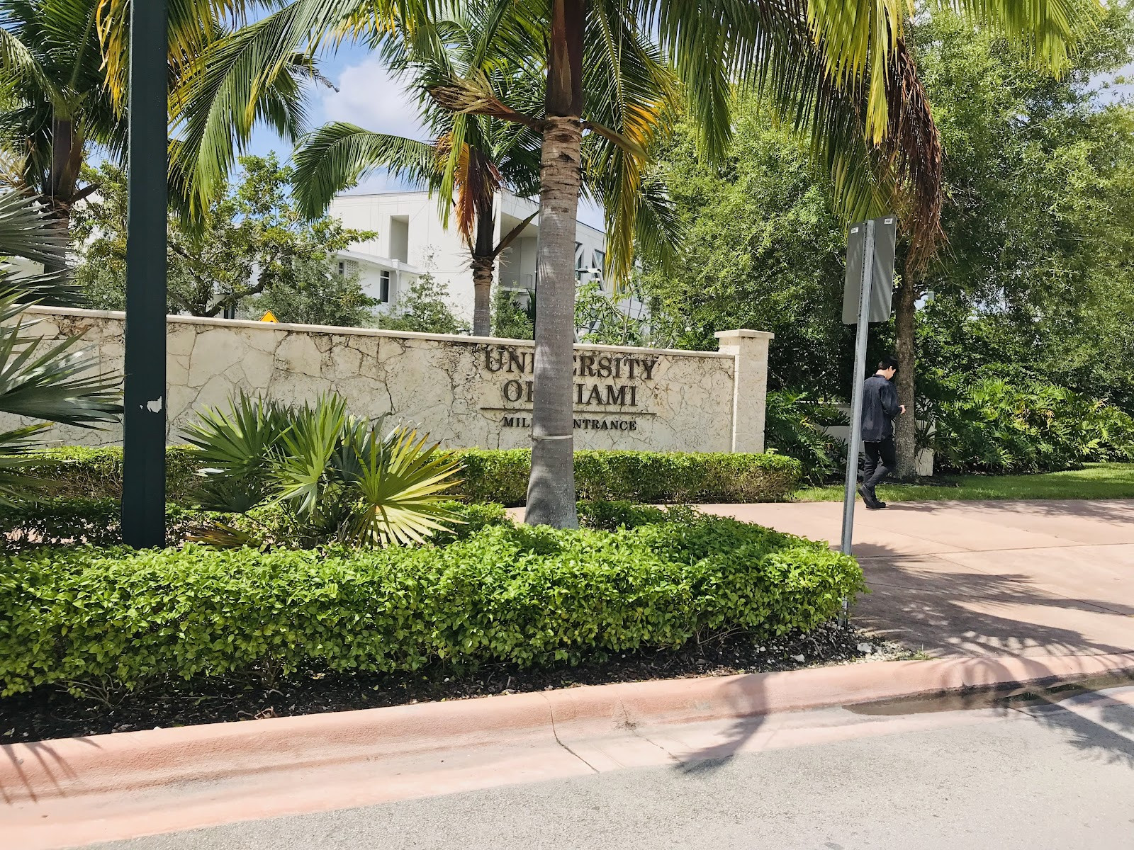 University of Miami - Building