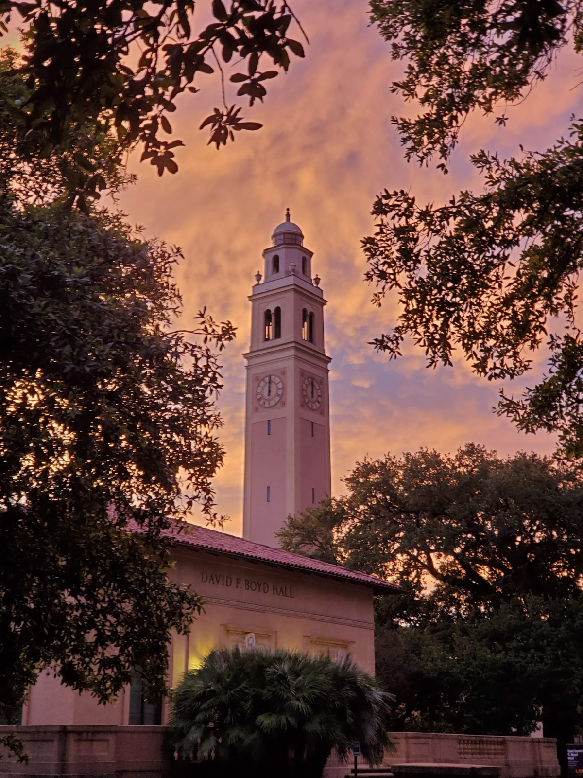 Louisiana State University - Building