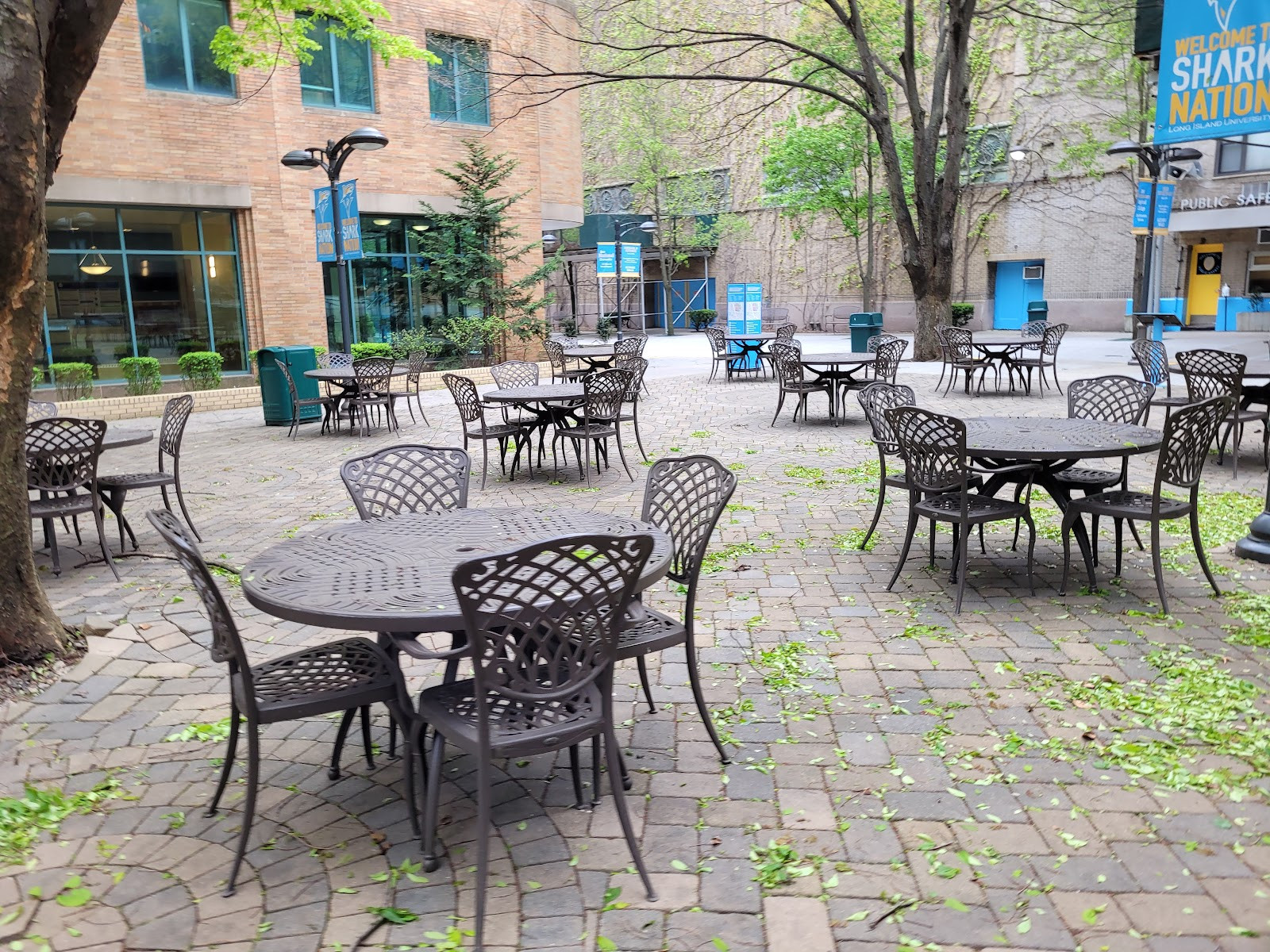 Long Island University Brooklyn - Campus