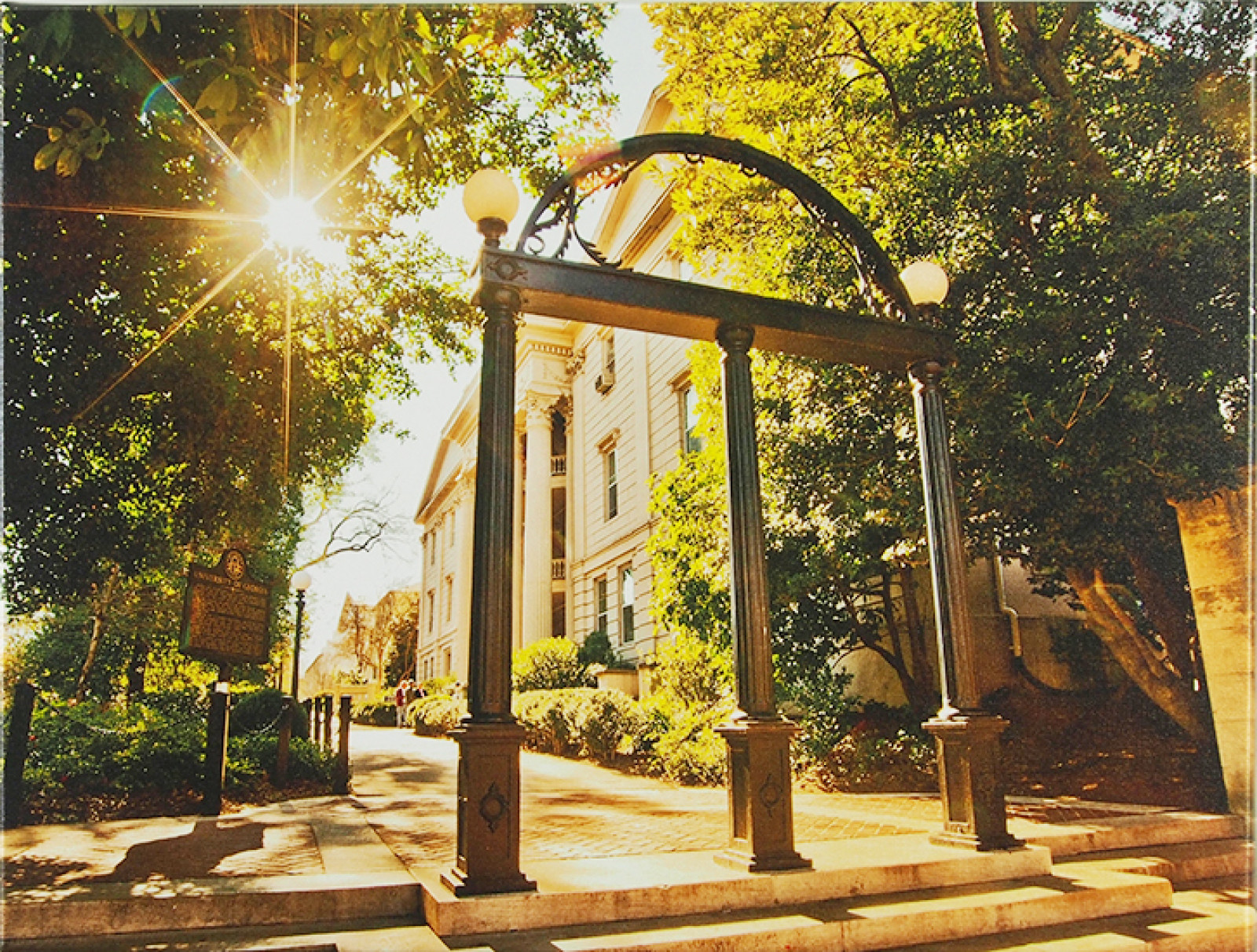 University of Georgia - Campus