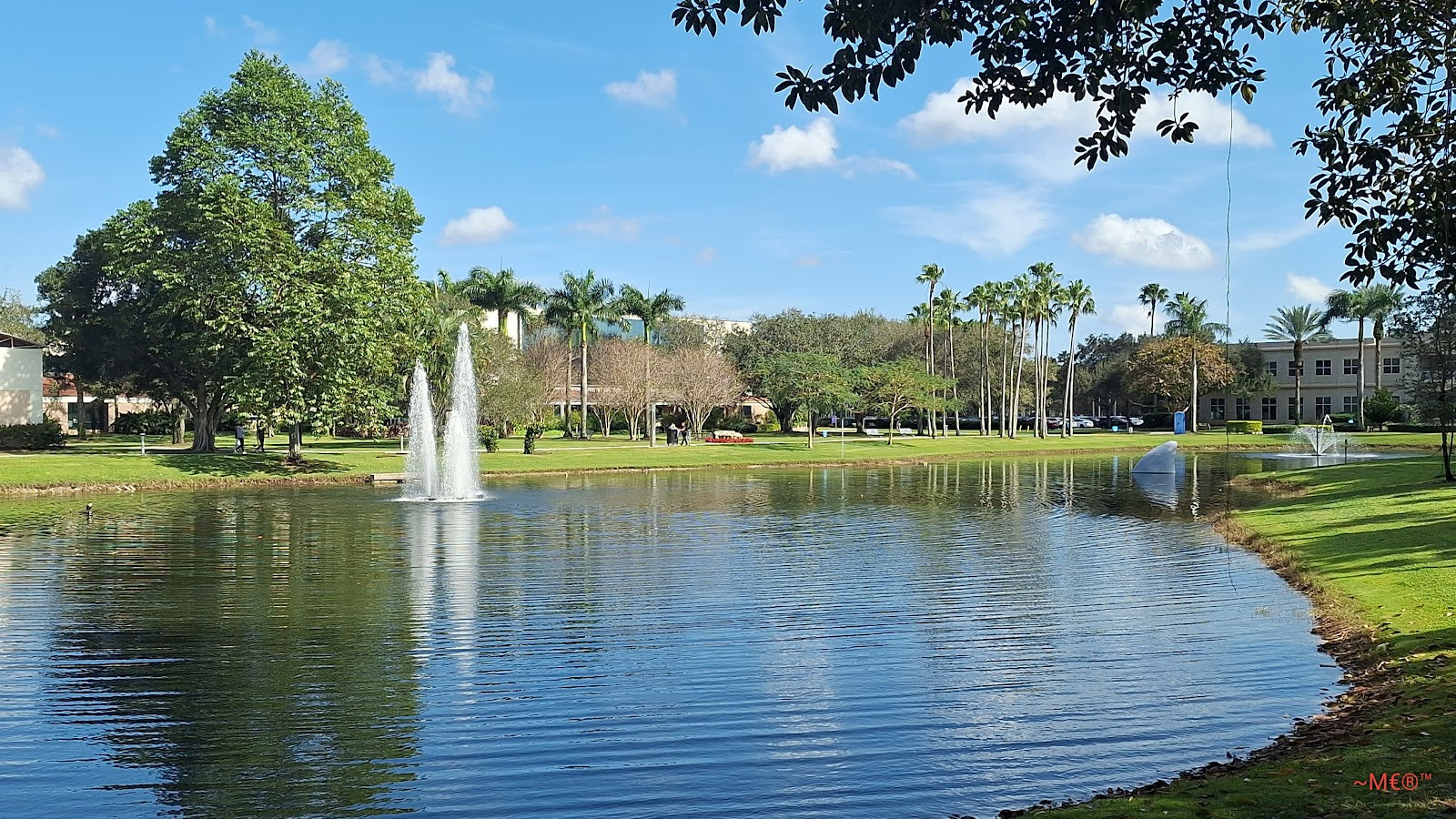 Nova Southeastern University - Building