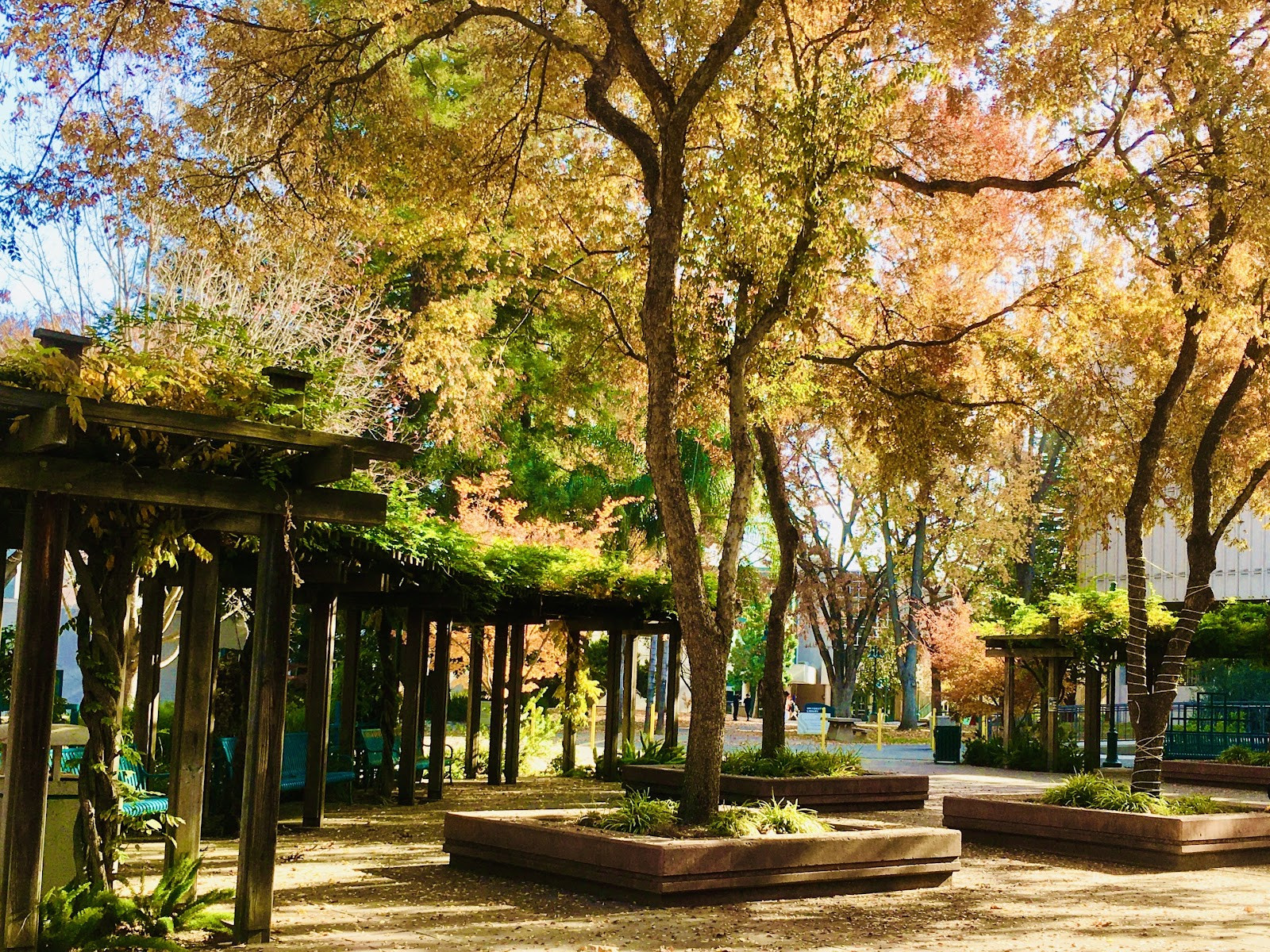 California State University, Sacramento - Campus