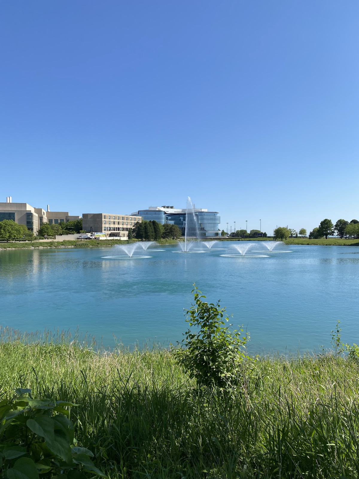 Northwestern University - Campus