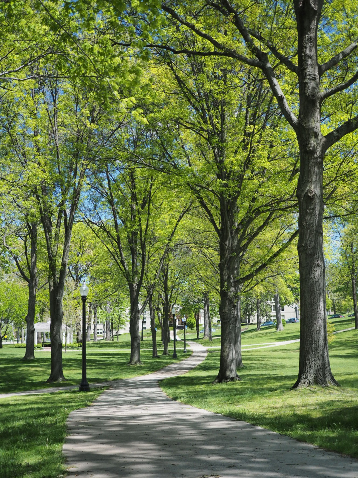 Kent State University - Building