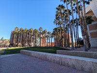 The University of Arizona