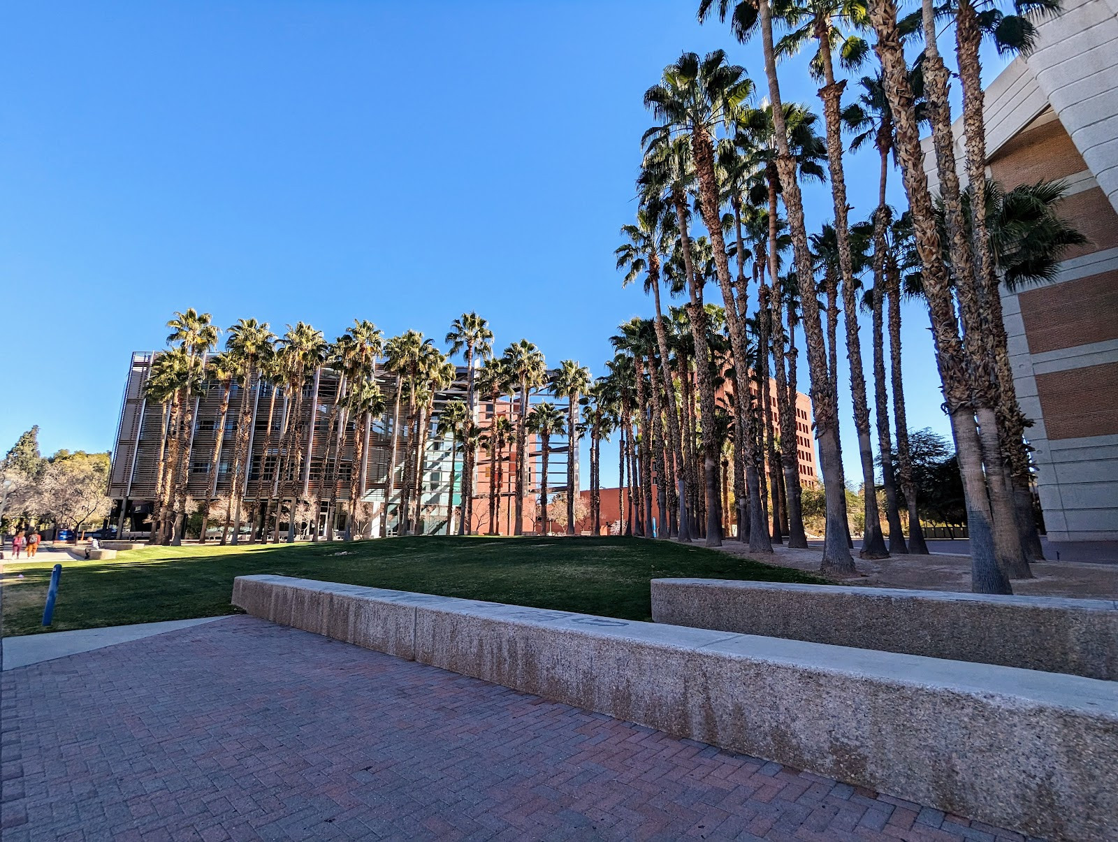 The University of Arizona