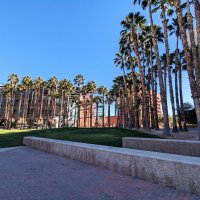 The University of Arizona