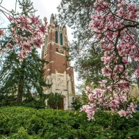 Michigan State University