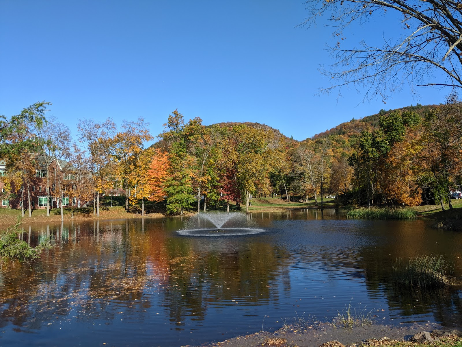 Quinnipiac University - Campus