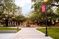 Lamar University