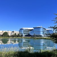 Northwestern University