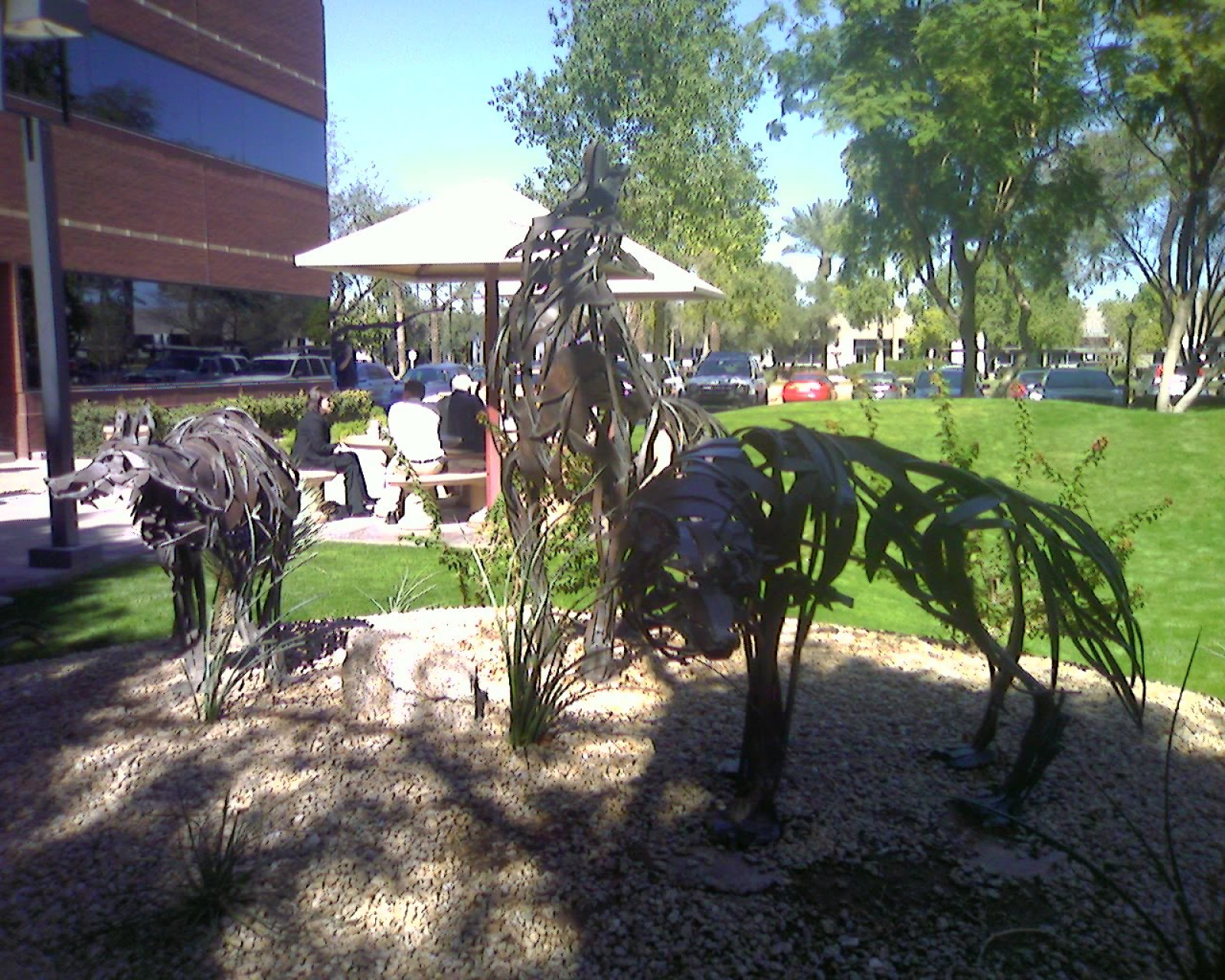 University of Phoenix - Campus