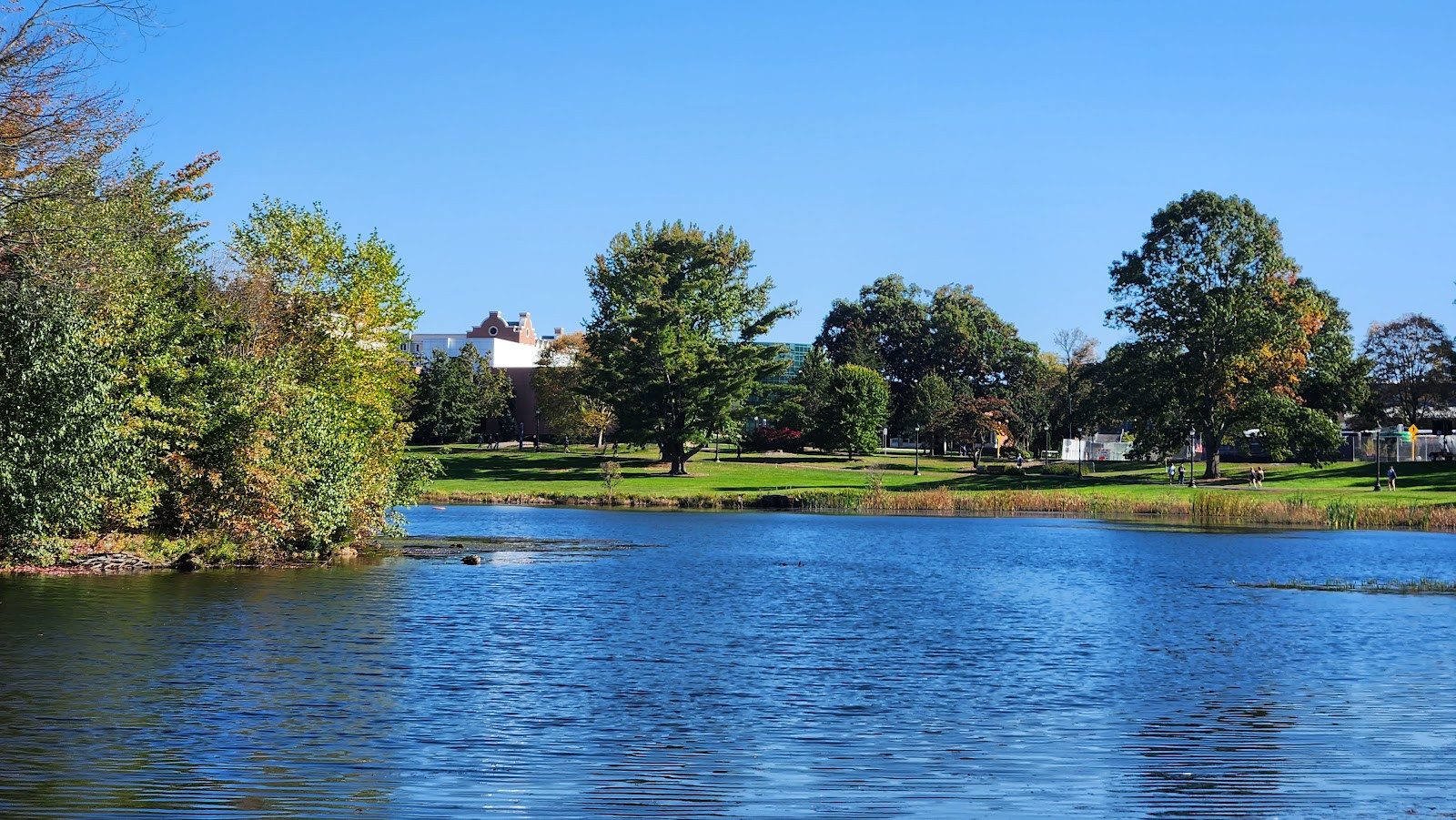 University of Connecticut - Campus