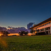 Ave Maria University