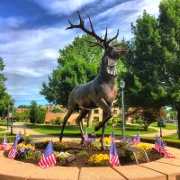 Fairfield University