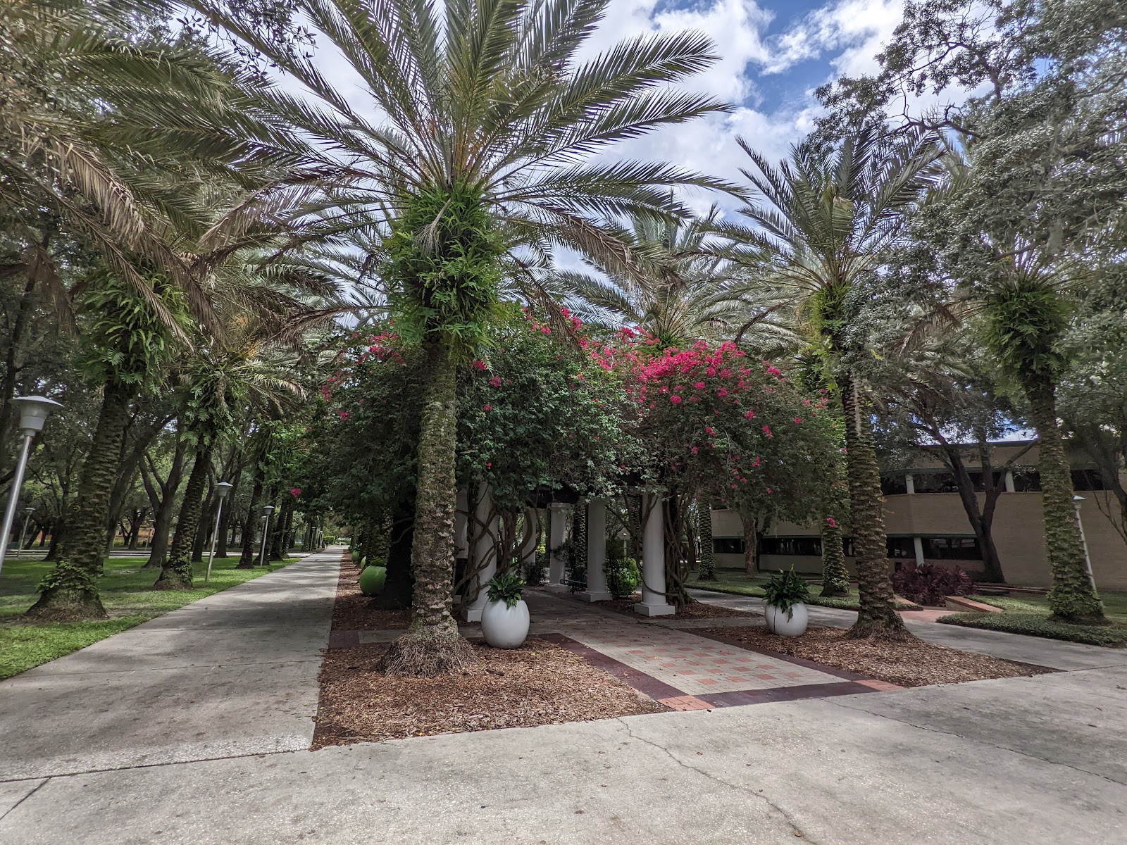 University of South Florida - Building