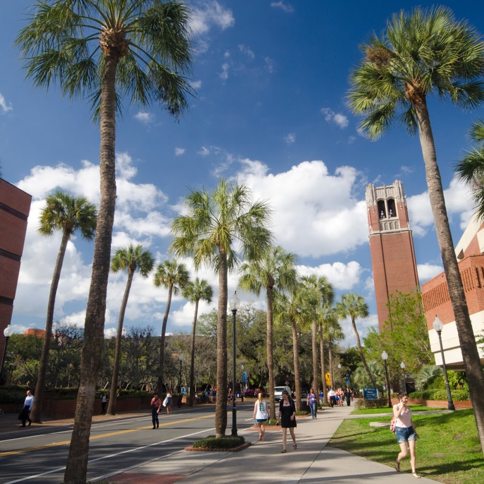 University of Florida - Campus