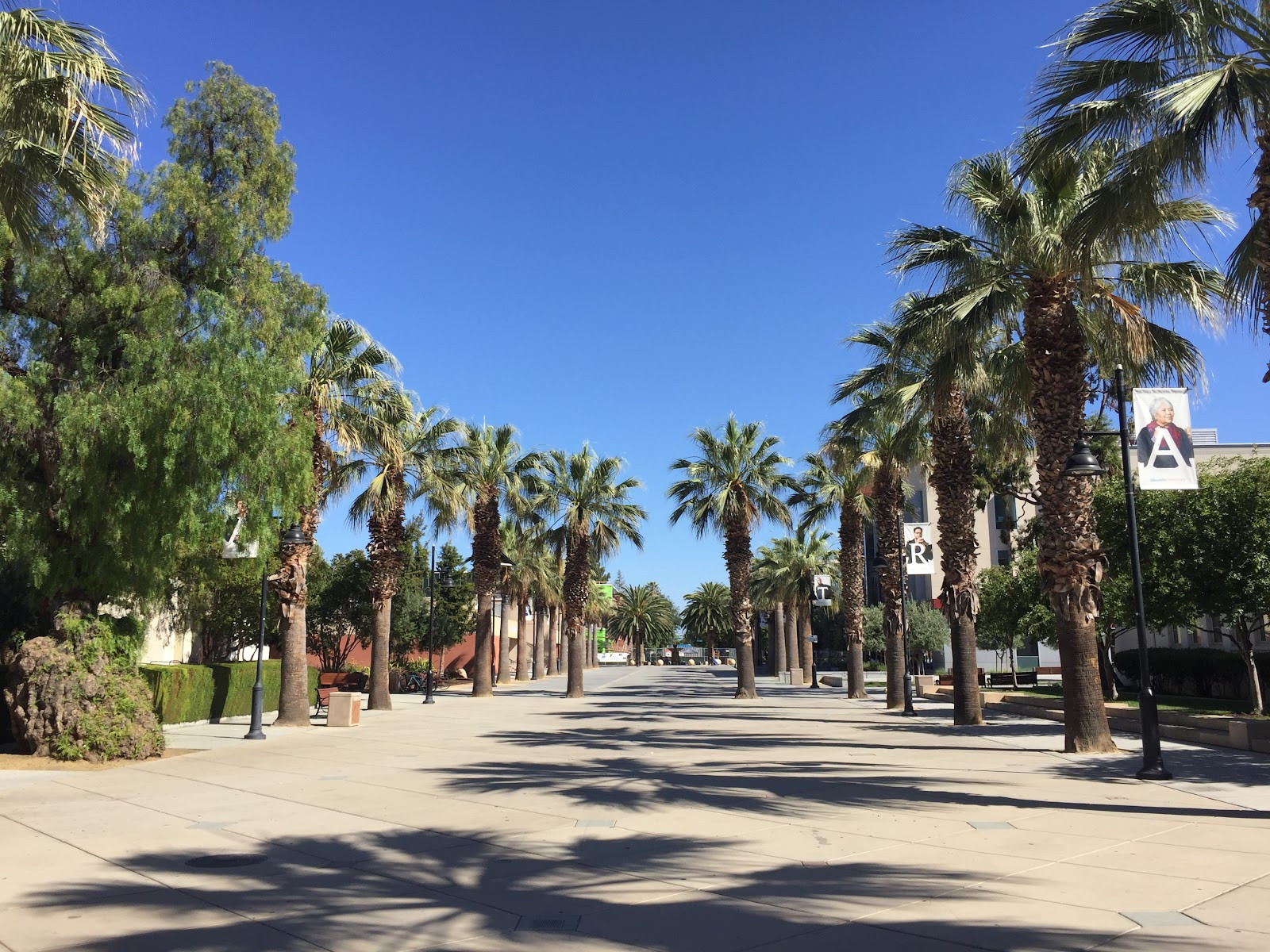 San José State University - Campus