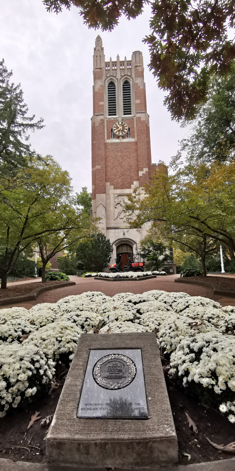 Michigan State University - Campus