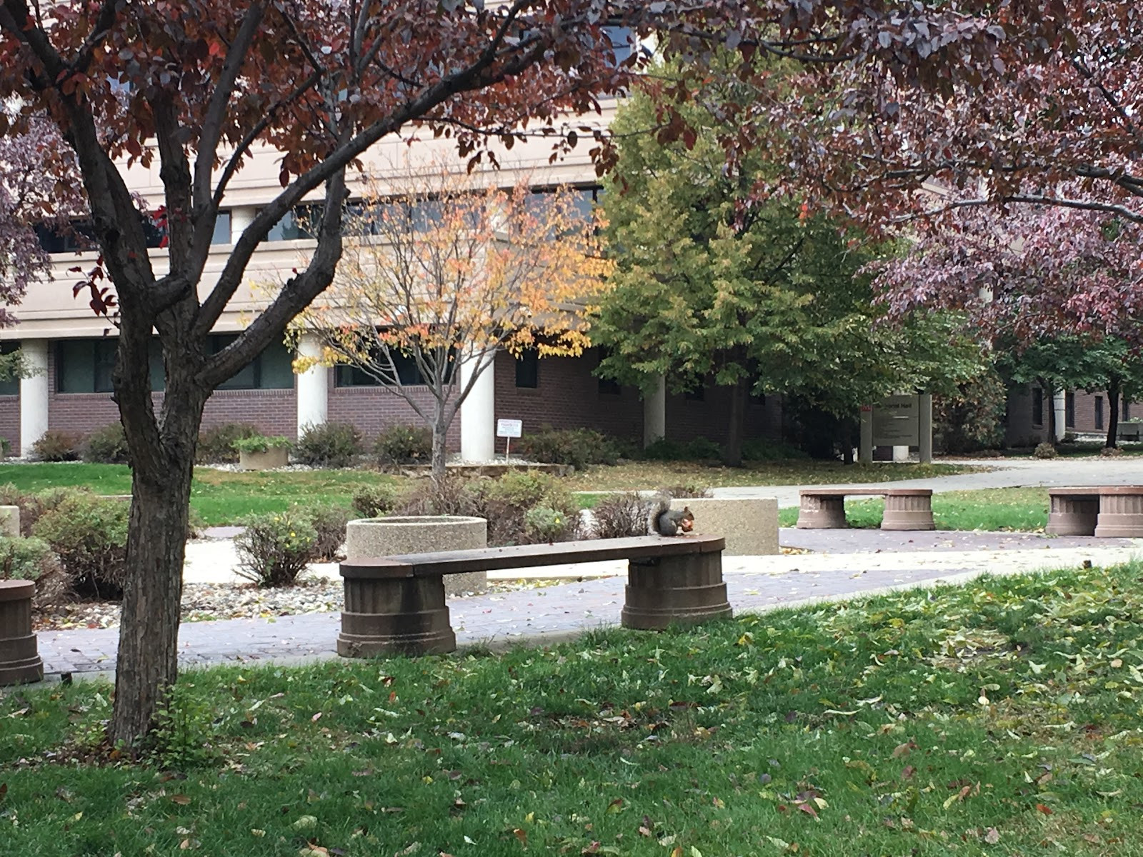 Minot State University - Building