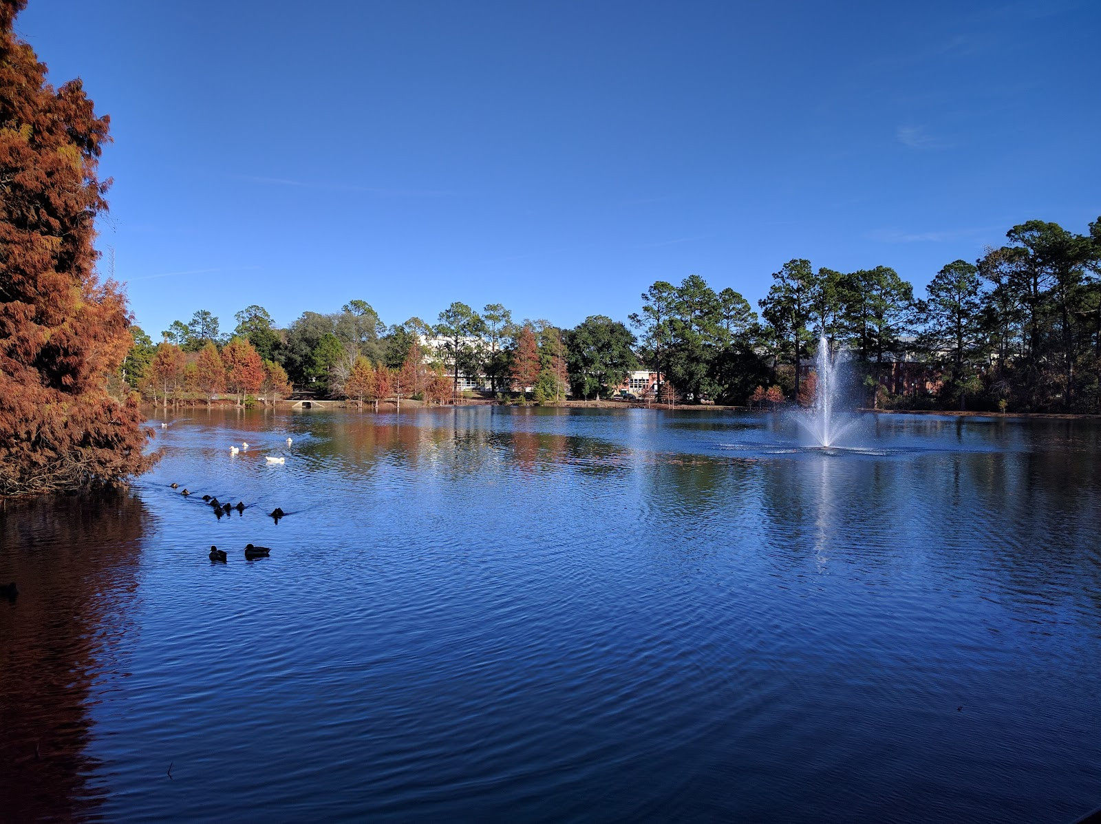 Georgia Southern University - Campus