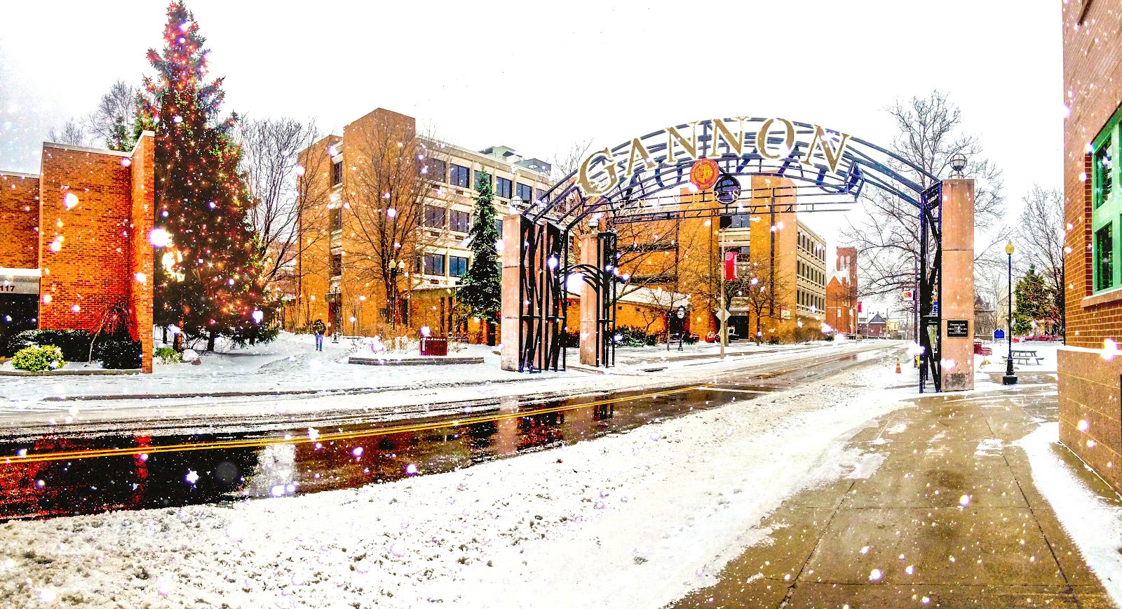 Gannon University - Campus