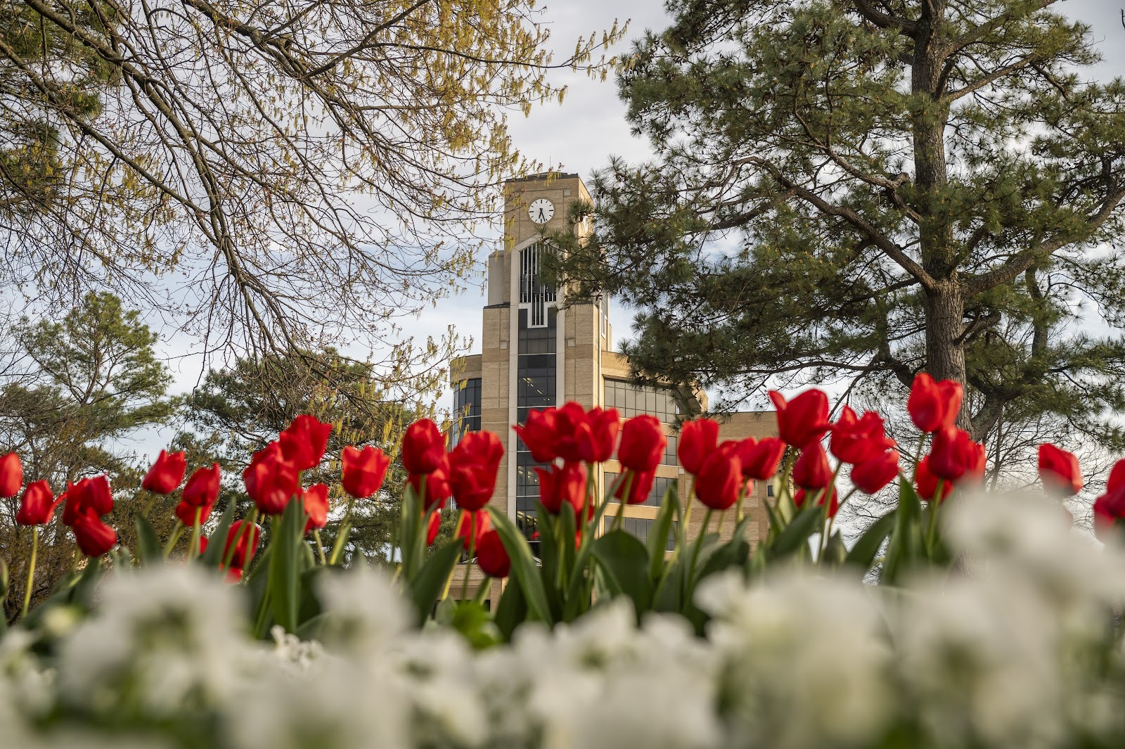 Arkansas State University