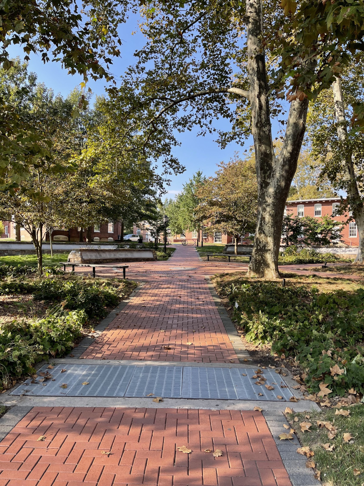 University of Delaware - Building