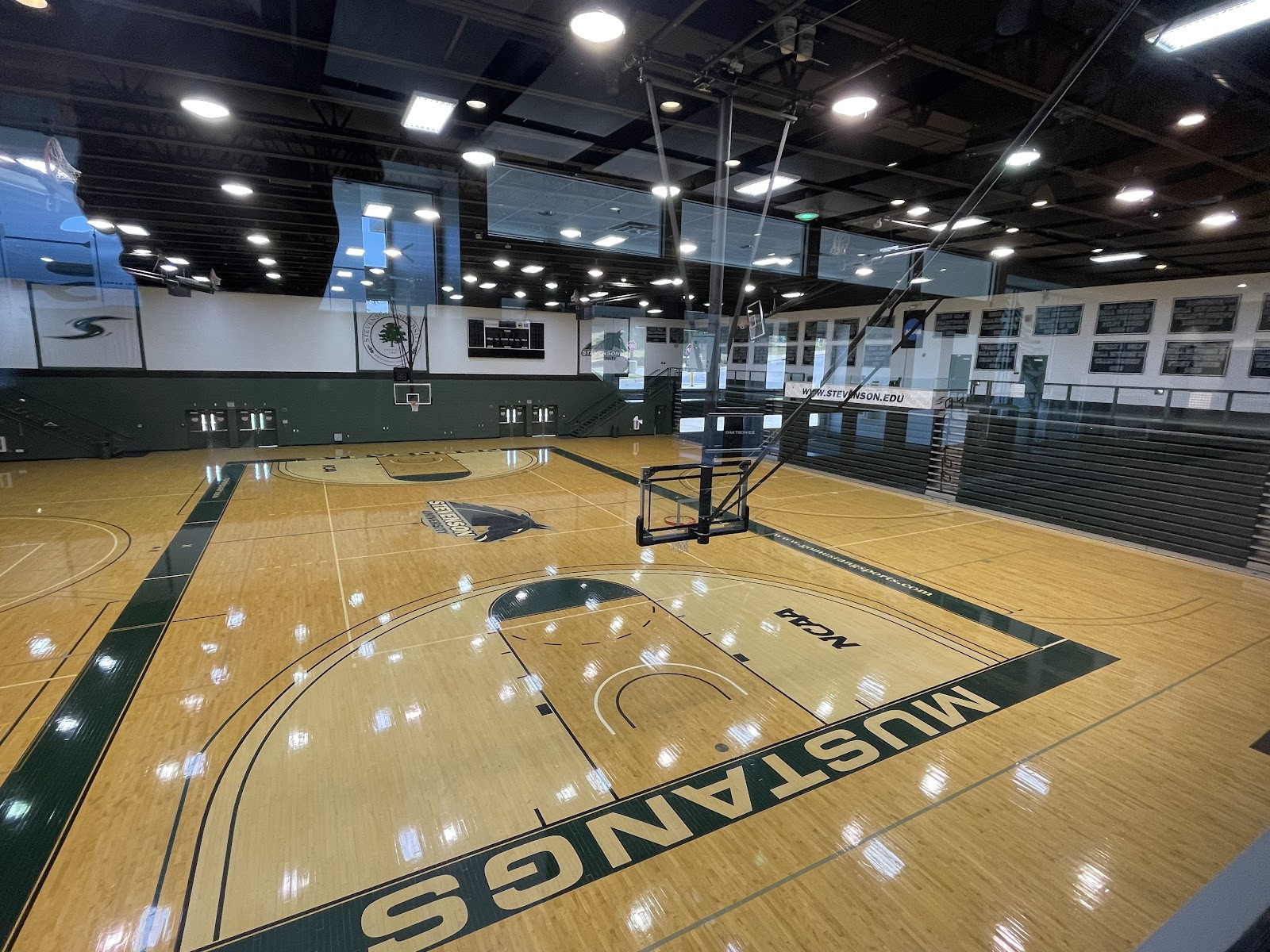 Stevenson University - Building