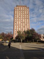 Binghamton University