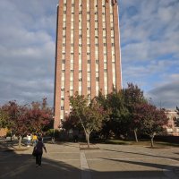 Binghamton University