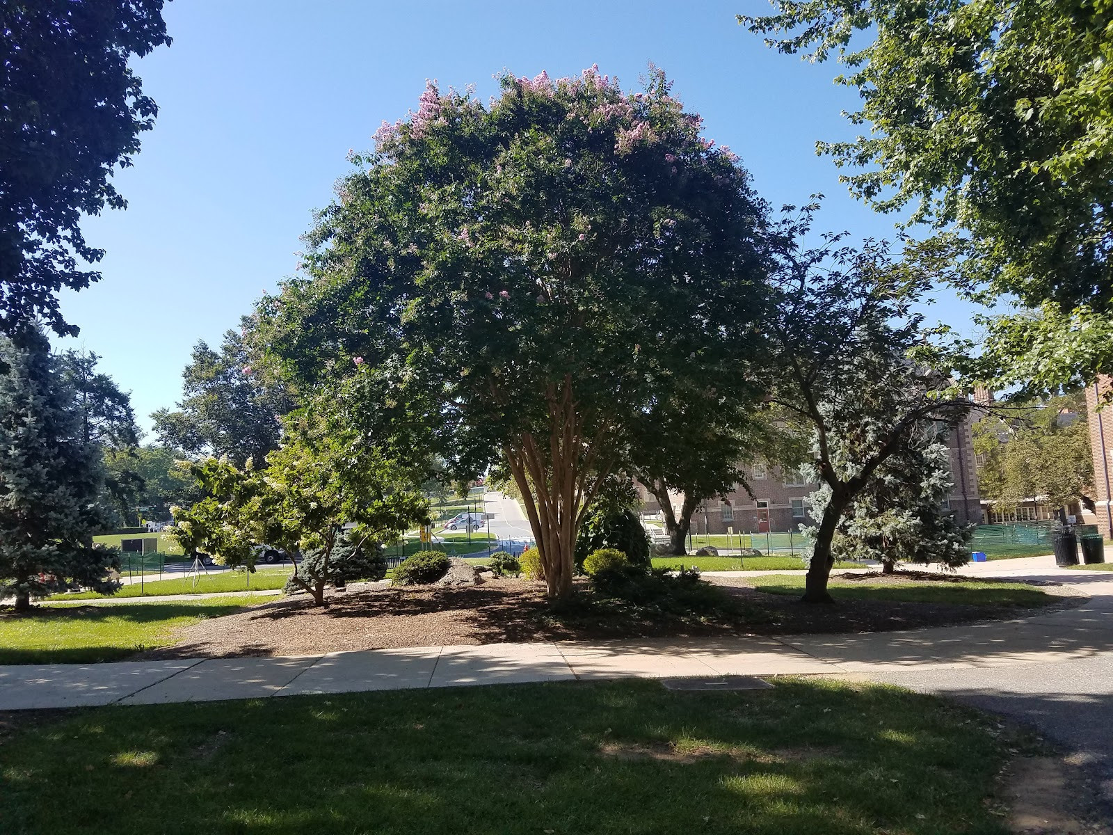 Towson University - Building