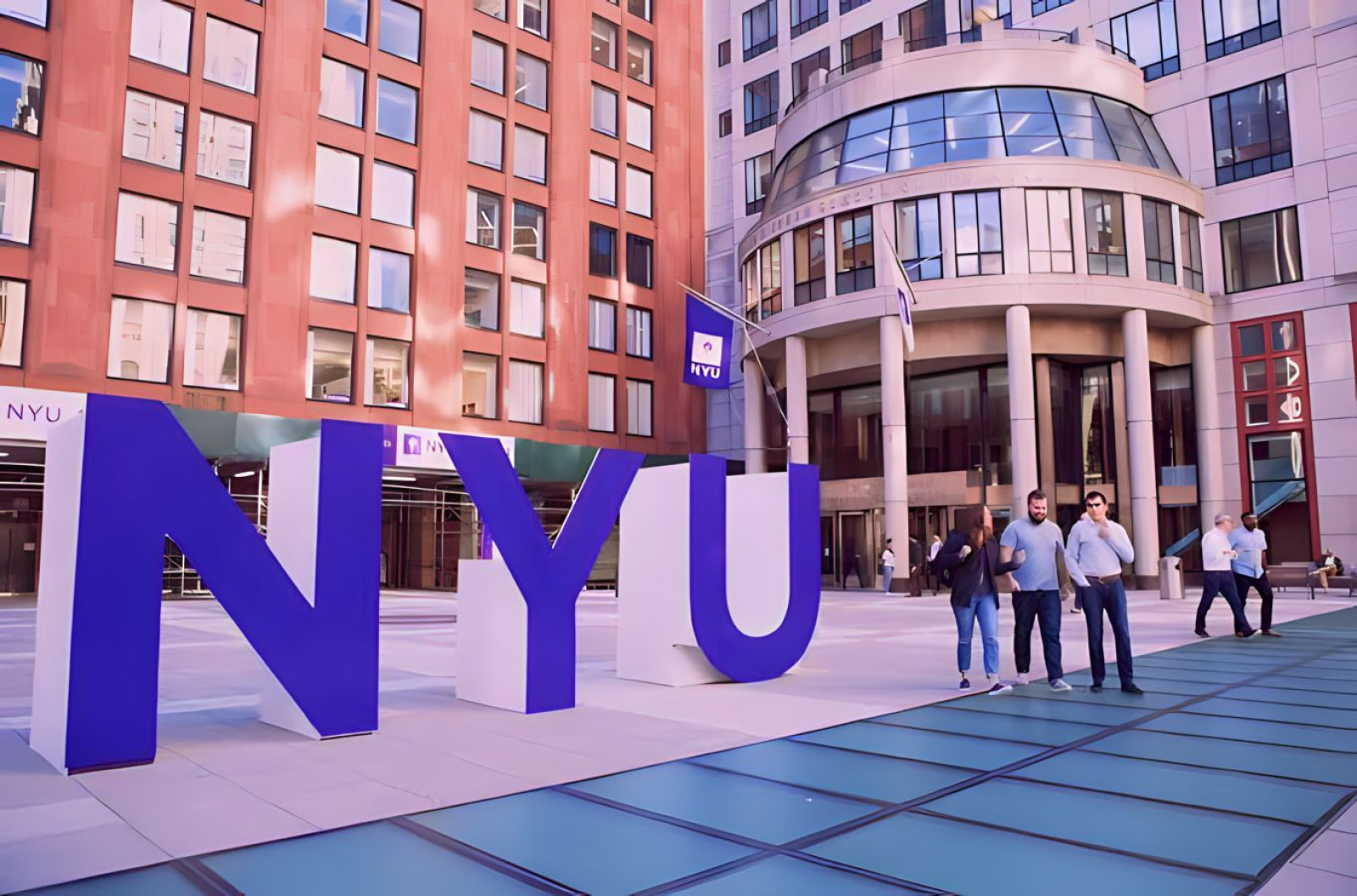 New York University