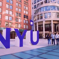 New York University