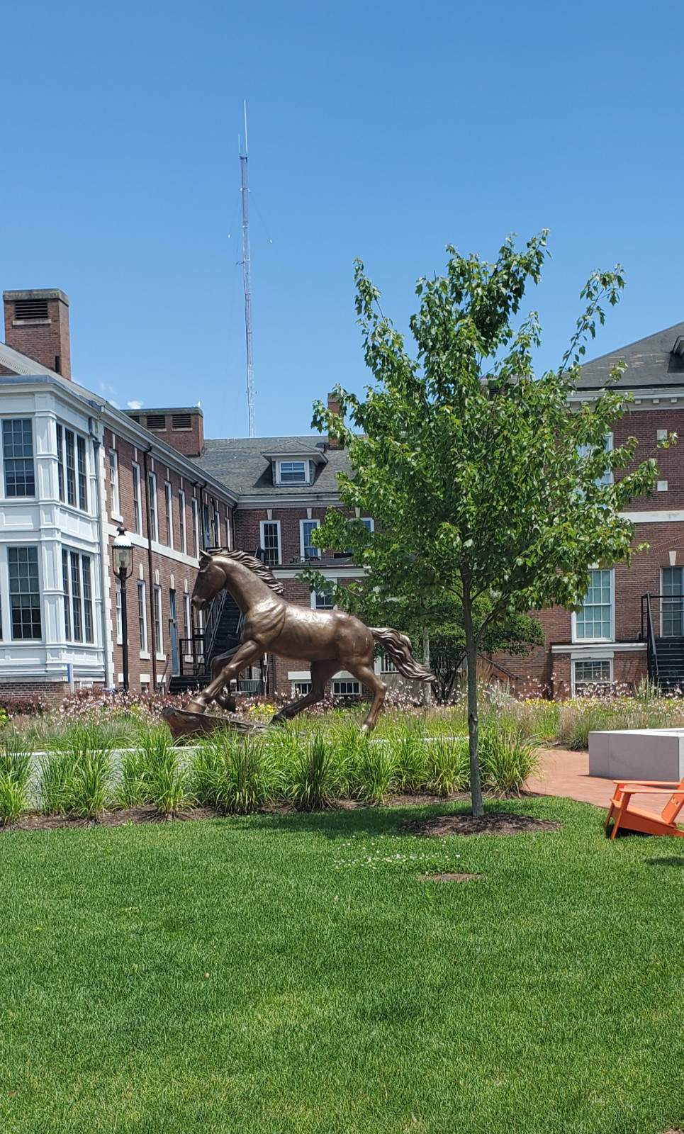 University of New Haven - Campus