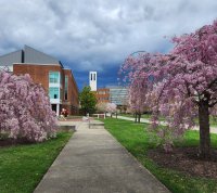 Salisbury University