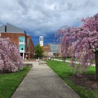 Salisbury University