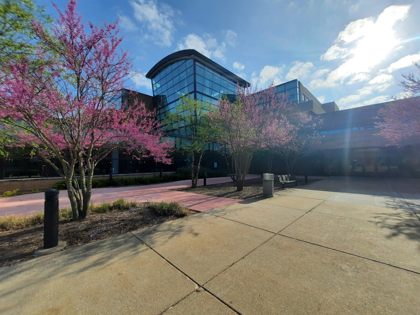 Saginaw Valley State University - Building