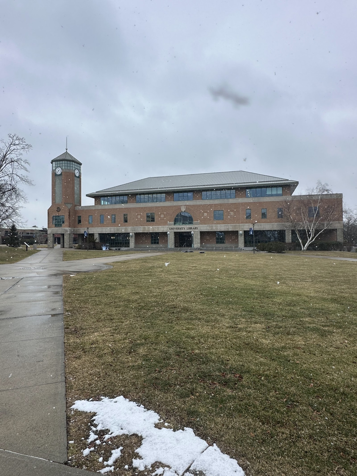 Roger Williams University - Campus