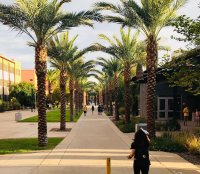 Arizona State University Tempe Campus