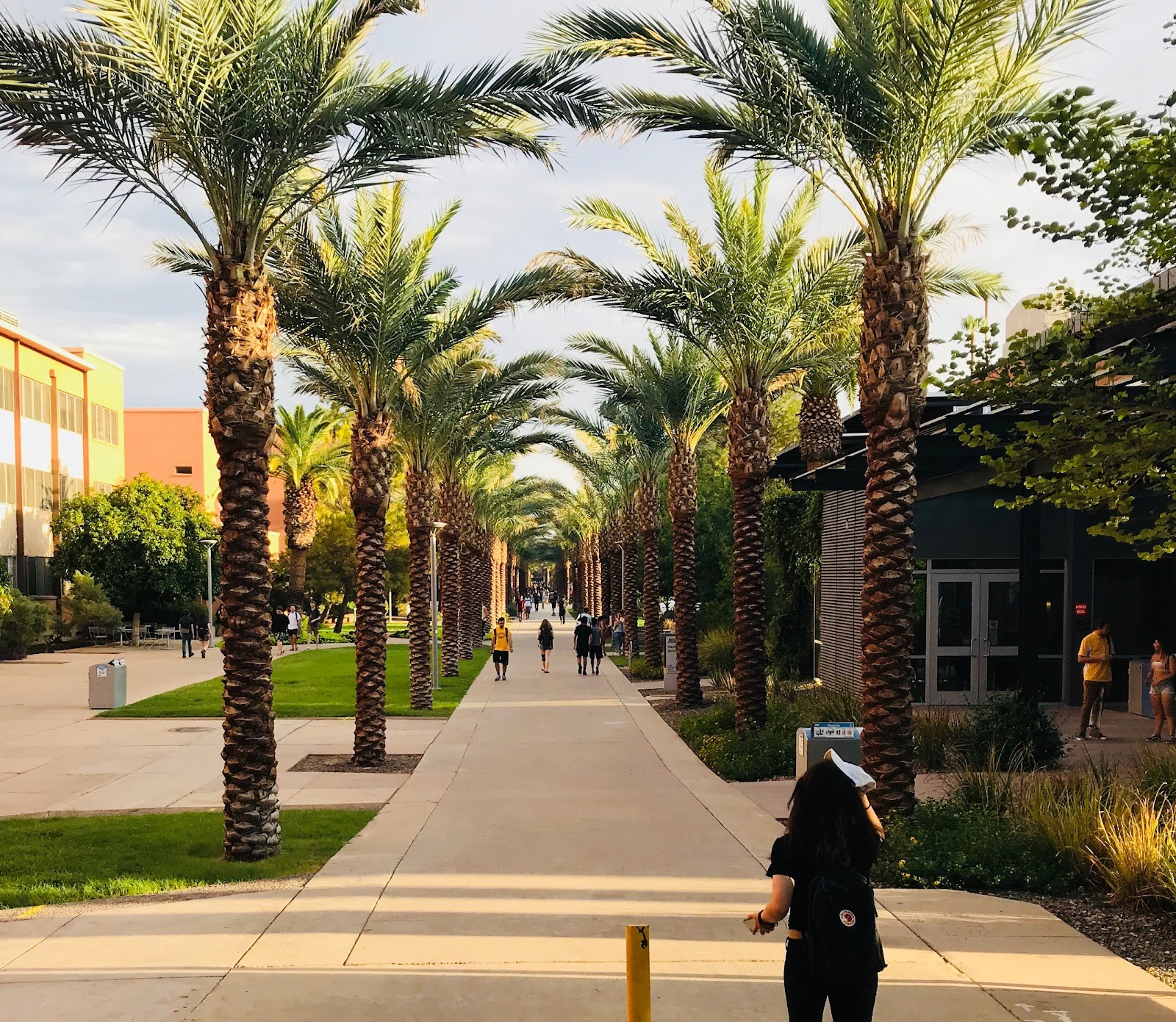 Arizona State University Tempe Campus