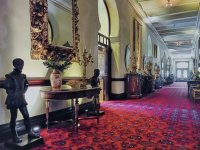 The University of Tampa