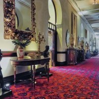 The University of Tampa