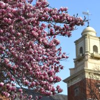 Shippensburg University