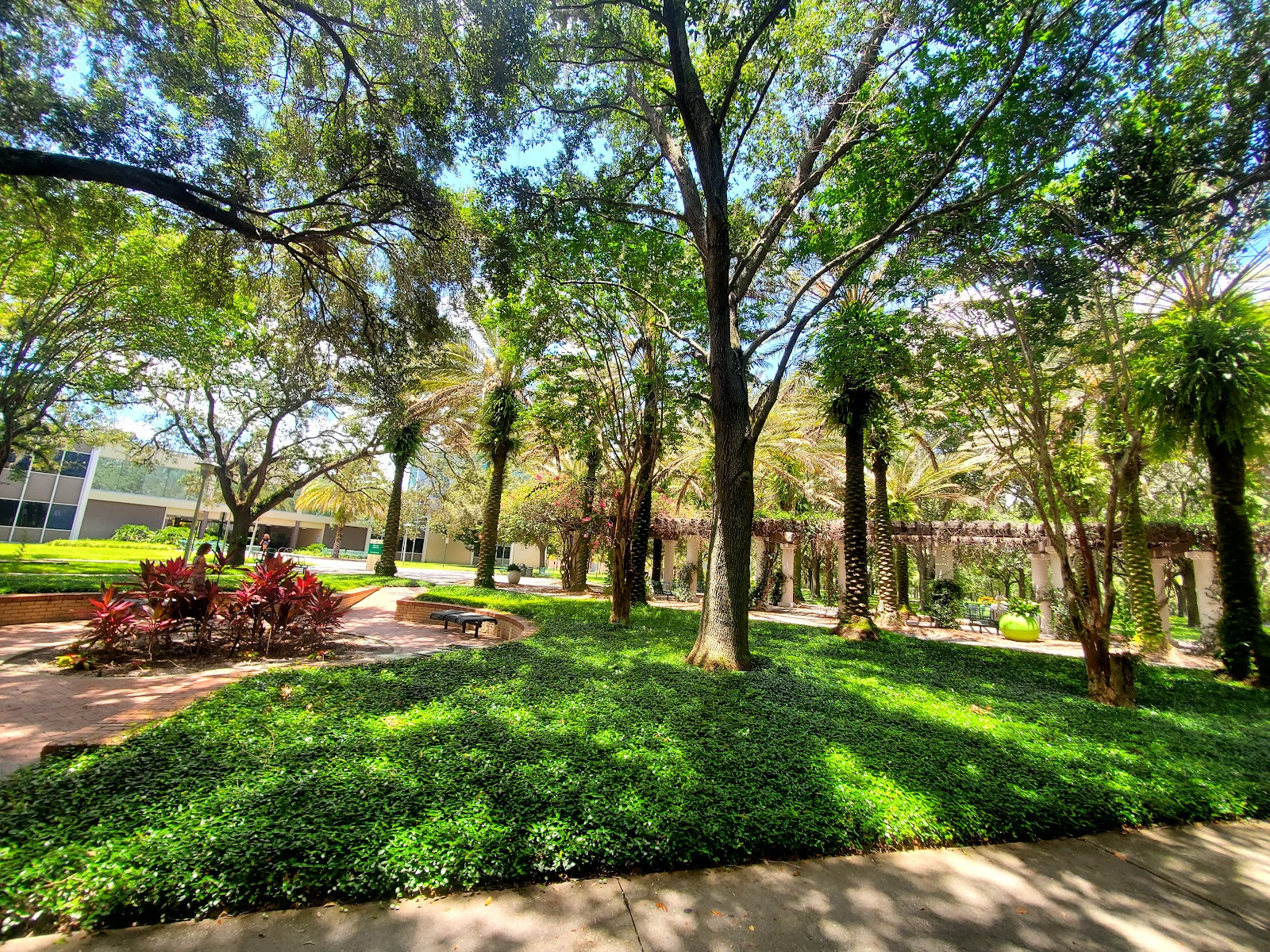 University of South Florida - Campus