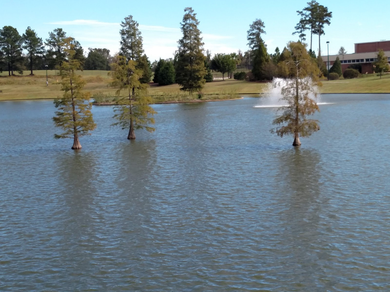 Middle Georgia State University - Macon Campus - Building