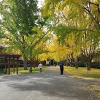 California State University, Sacramento